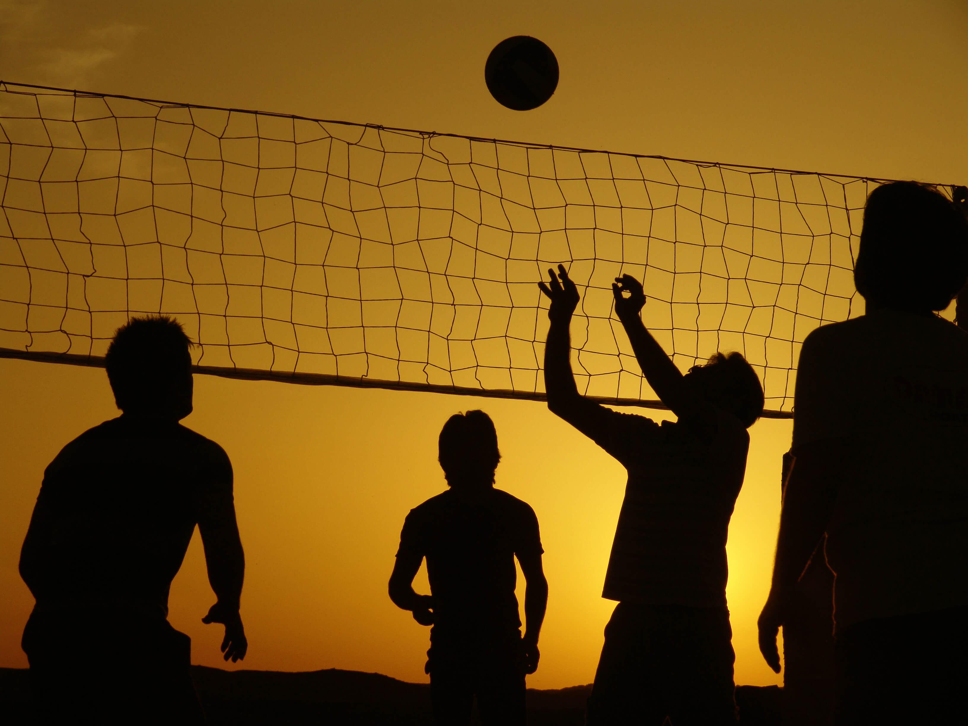 排球BC Silhouette_Volleyball