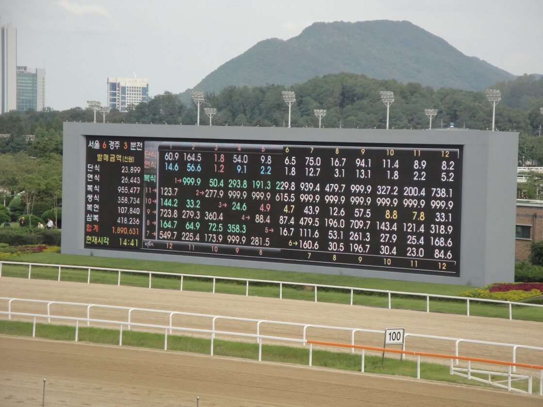 赔率 seoul-racecourse-odds-board
