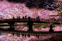 去看那花花世界(9)