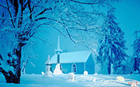 迷人的雪地风景(10)