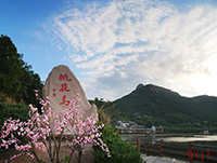 迷人的桃花岛(9)